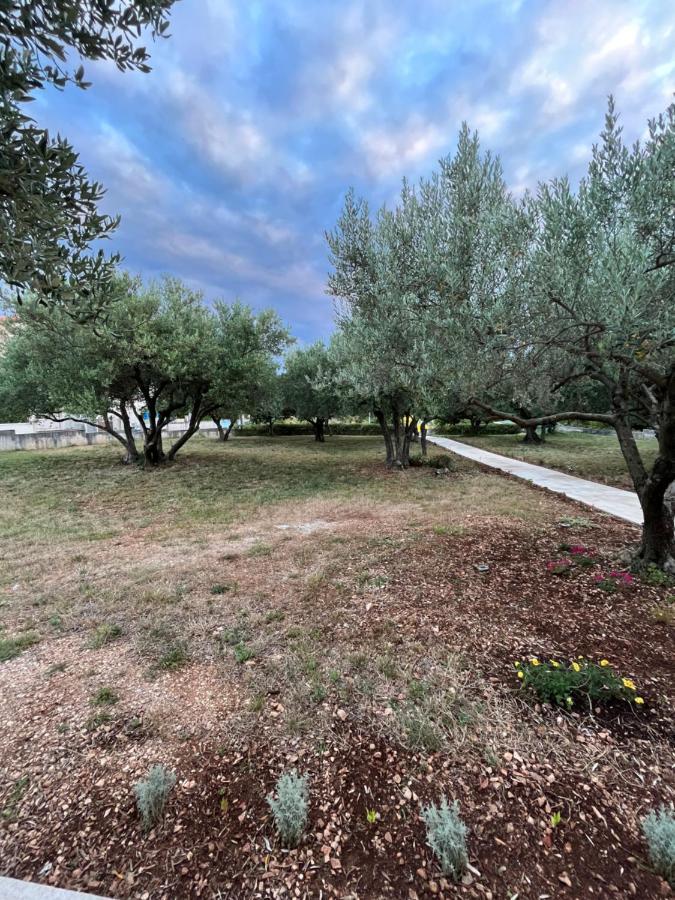 Apartman Oliva Zadar Extérieur photo